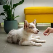 home-2